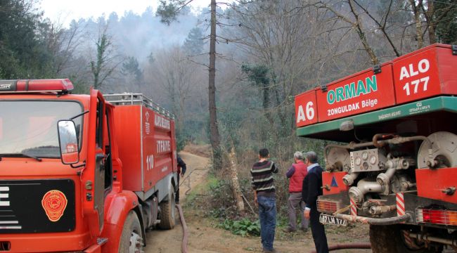 ALAPLI'DA ANIZ YANGINI UYARISI