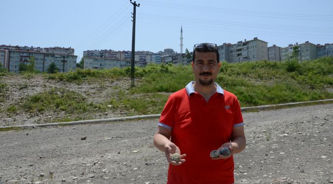 Dinazorlar çağından kalma deniz canlılarına ait fosiller bulundu