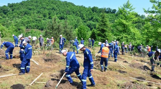 Kdz. Ereğli’de 1919 adet fidan toprakla buluştu 