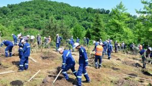 Kdz. Ereğli’de 1919 adet fidan toprakla buluştu 