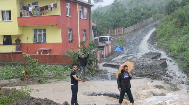  Kdz. Ereğli’de evler selden zarar gördü 