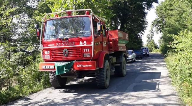Alaplı'da üç dönümlük fındık bahçesi yandı