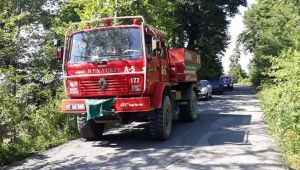  Alaplı'da üç dönümlük fındık bahçesi yandı 