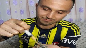  Yuvadan düşen yavru kuşa gözü gibi bakıyor...