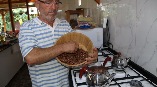 Fındık kabuğundan çay yaptı 