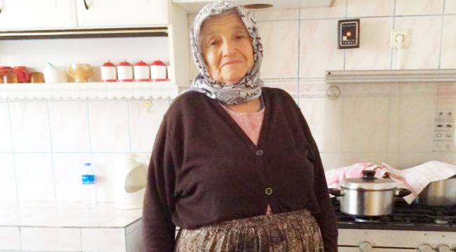Ceviz ağacından düşen yaşlı kadın hayatını kaybetti