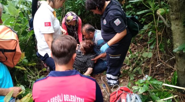  Kestane toplamaya gitti, yaban arısı saldırısına uğradı