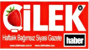 Çilek Medya, ikinci yayın yılında