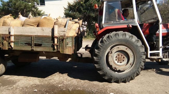 Fındıkta randıman tepkisi