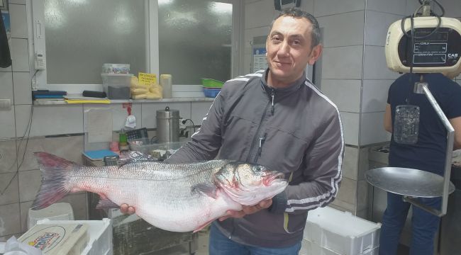 - 100 kilo fındığı olan bu balığı alabilir