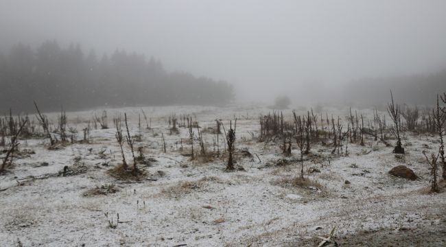 Bolu’ya mevsimin ilk karı düştü