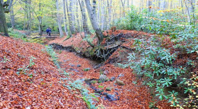  Zonguldak’ta son bahar