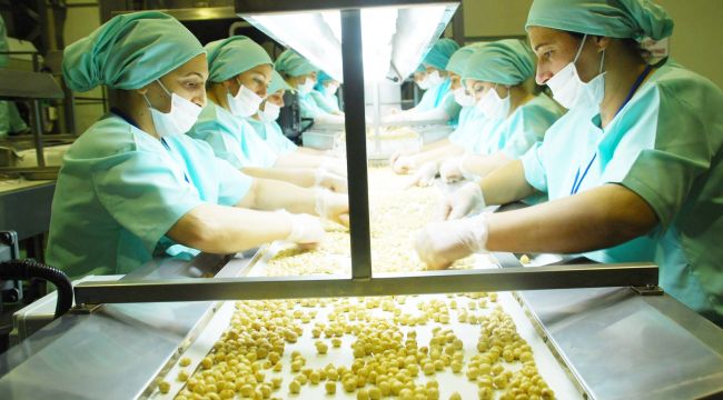 - Avrupa’ya fındık Düzce’den gidiyor