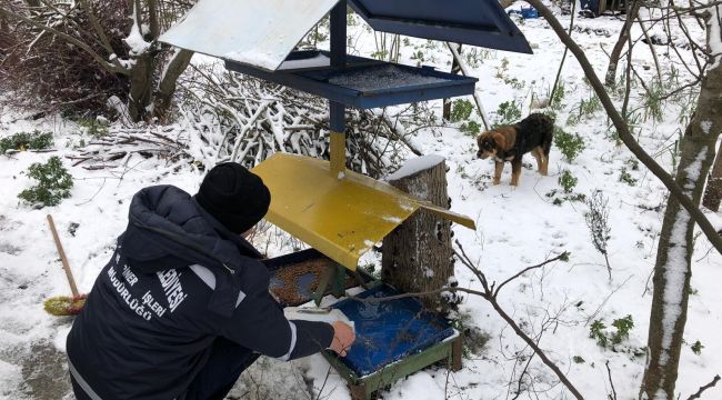 - Kdz. Ereğli Belediyesi sokak hayvanlarını unutmadı