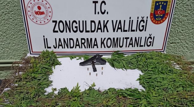 - Jandarmadan uyuşturucu operasyonu: 1 gözaltı