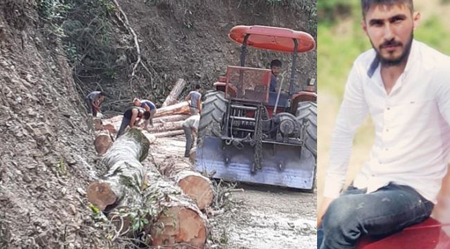 - Ağacın altında kalan orman işçisi yaşamını yitirdi