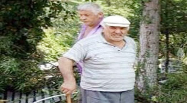  Dut ağacını budarken yüksekten düştü: 1 ölü