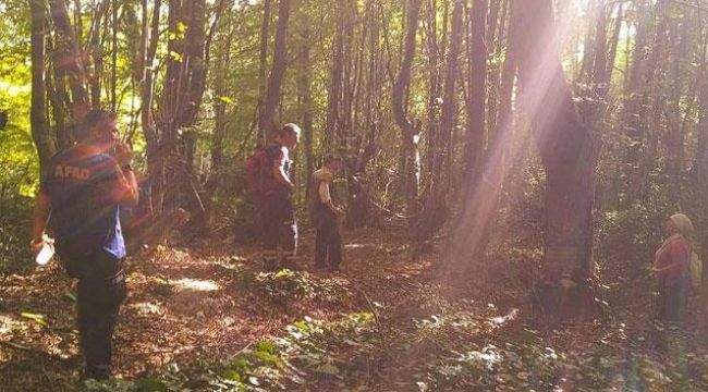 Kestane toplamaya gitti, dağda kayboldu