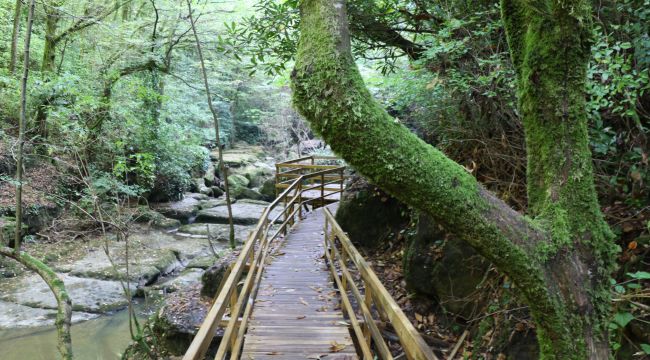 - Zonguldak, kömür ve doğalgazın ardından şimdi de doğasıyla dünyaya açılacak