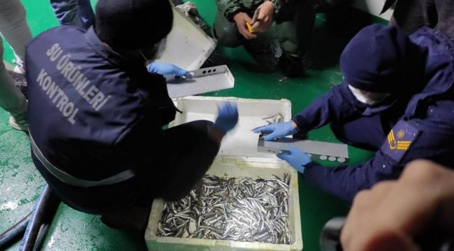 - 35 ton kaçak hamsi yakalandı, gemilere para cezası uygulandı