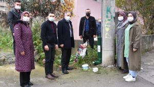 AK PARTİ’DEN SOKAK HAYVANLARI İÇİN ÖRNEK PROJE
