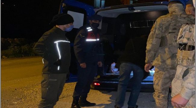 - ALAPLI DA YAVRU KARACAYI JANDARMA EKİPLERİ KURTARDI...