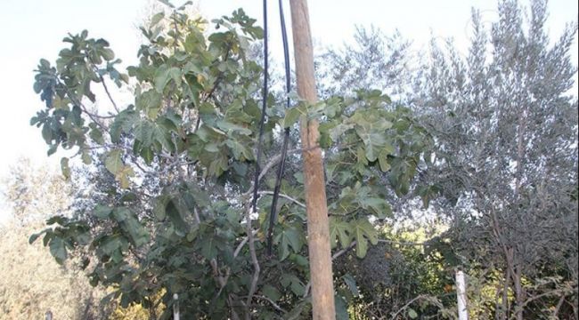 - Kabloları çalan hırsızlar 20 köyü internetsiz bıraktı