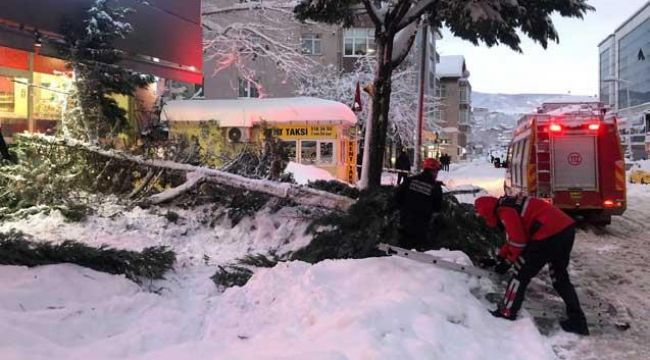 -BİR ÇOK AĞAÇ YIKILDI...