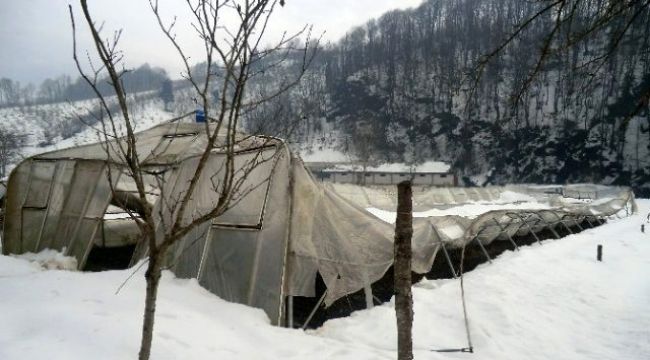 - SERALARI ZARAR GÖRENLERİN DİKKATİNE...