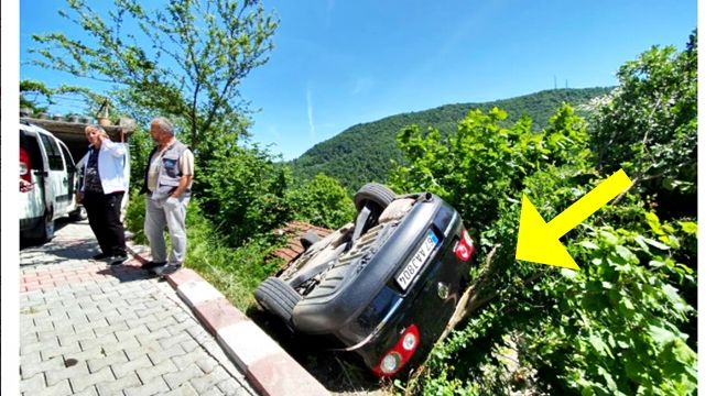 Ağaç dalları sayesinde 2 kardeşin hayatı kurtuldu