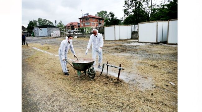 Kurban pazarı kuruluyor