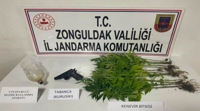 Jandarmadan uyuşturucu operasyonu