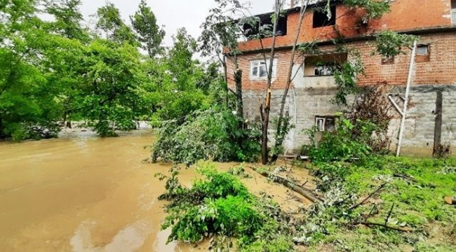 Selden etkilenen haneler için ödemeler başladı