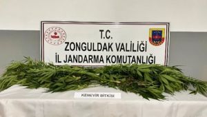 Zonguldak'ta uyuşturucu operasyonu...