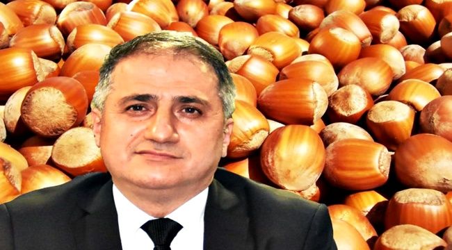 TMO, KDZ. EREĞLİ'DE FINDIK ALIMLARINA BAŞLIYOR