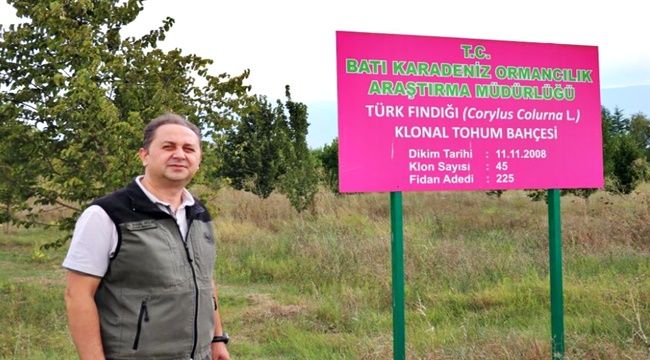 Türk fındığının genleri bu bahçede koruma altına alındı