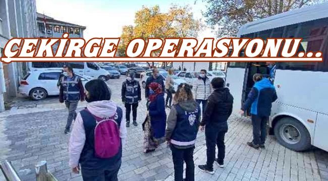 Çekirge Operasyonu'nda 24 şüpheli adliyede