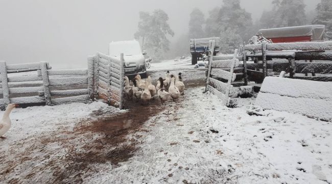 KARABÜK’TE YÜKSEK KESİMLERE SEZONUN İLK KARI DÜŞTÜ