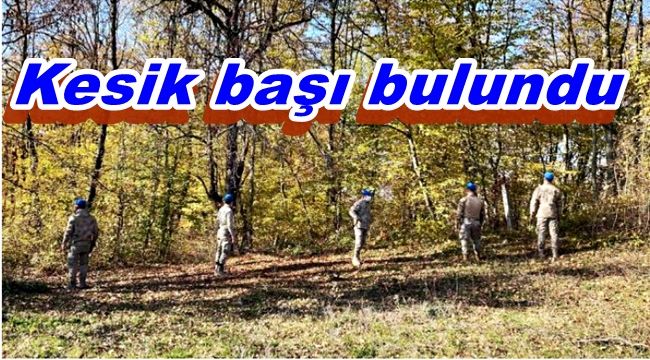 Kesik başı toprağa gömülü halde bulundu