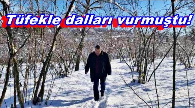 Tüfekle tellere takılan dalları vuran muhtar konuştu