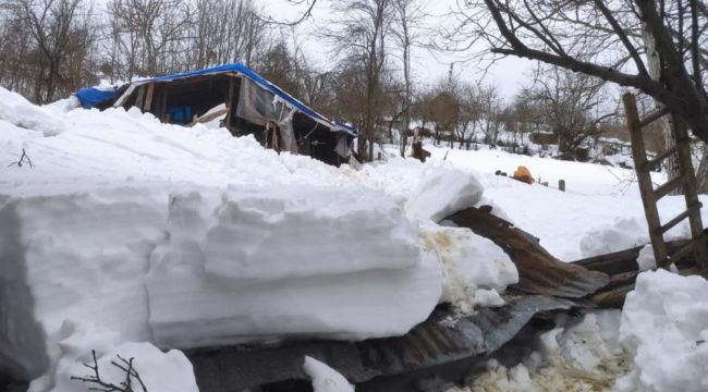 - Devrek’te ağıl çöktü: 7 hayvan telef oldu