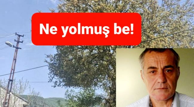 Uğruna cinayet bile işlenen yolda bir can kaybı daha