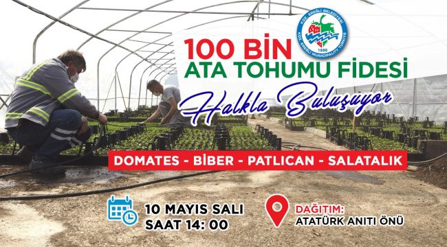 100 BİN ATA TOHUMU FİDESİ DAĞITALACAK