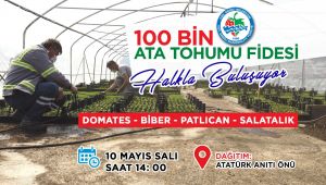 100 BİN ATA TOHUMU FİDESİ DAĞITALACAK