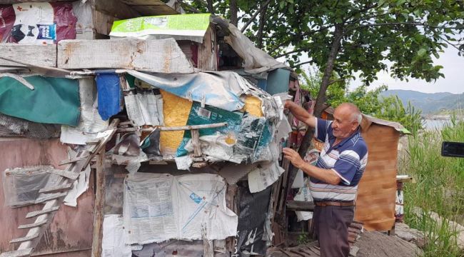  23 yıldır emekli maaşının büyük kısmını kedilere harcıyor