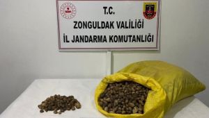 - Jandarma ekipleri 40 kilo salep soğanına el koydu