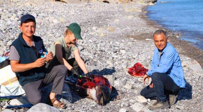 Karadeniz'de tedirgin eden görüntü