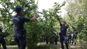 - Jandarmadan şehit annesine büyük vefa