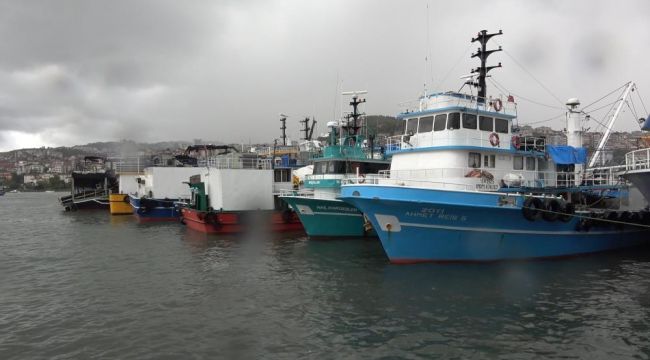 - Karadeniz’de palamut dışında balık çıkmıyor