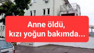 Alaplı'da mantar can aldı...